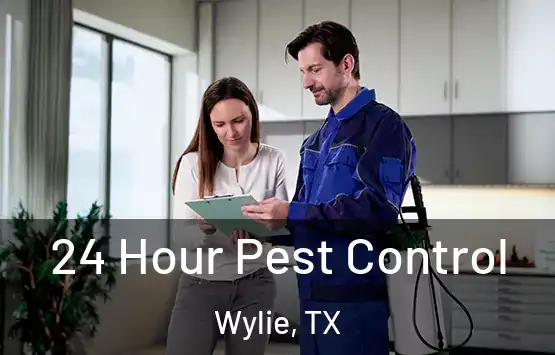  24 Hour Pest Control Wylie, TX
