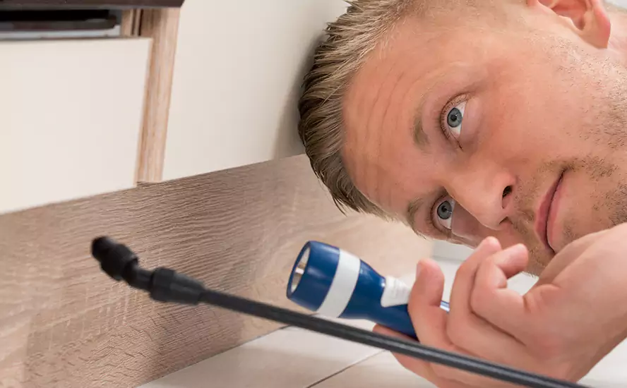 Top-Notch Pest Control in Wylie