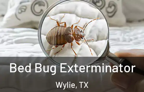  Bed Bug Exterminator Wylie, TX