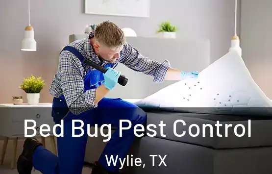  Bed Bug Pest Control Wylie, TX
