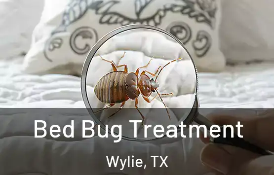  Bed Bug Treatment Wylie, TX