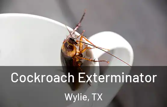 Cockroach Exterminator Wylie, TX