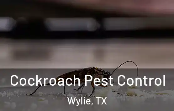  Cockroach Pest Control Wylie, TX