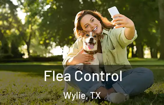  Flea Control Wylie, TX