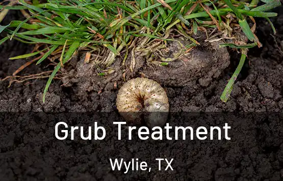  Grub Treatment Wylie, TX