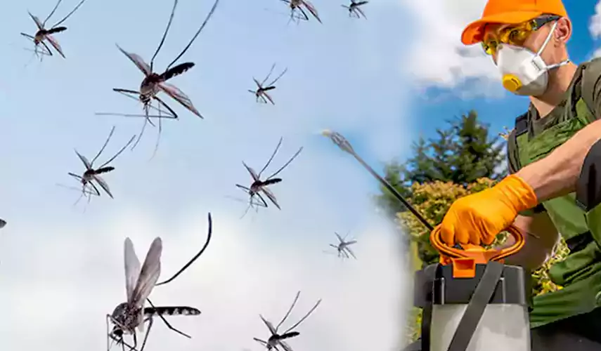 Mosquito Pest Control in Wylie, TX