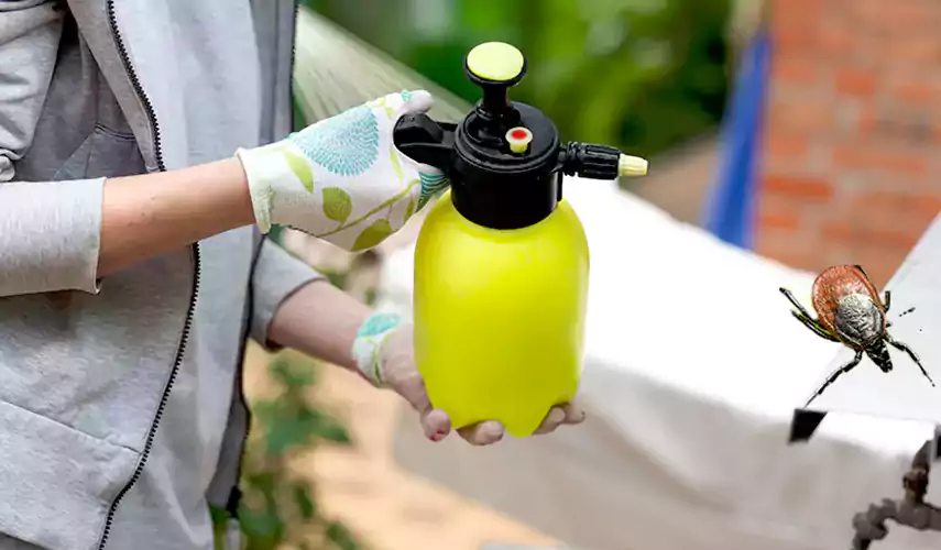 Ticks Pest Control Wylie, Texas