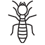 Termites Pest Control Wylie, Texas