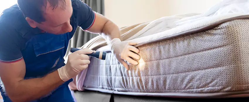 bed-bug-exterminator in Wylie, TX