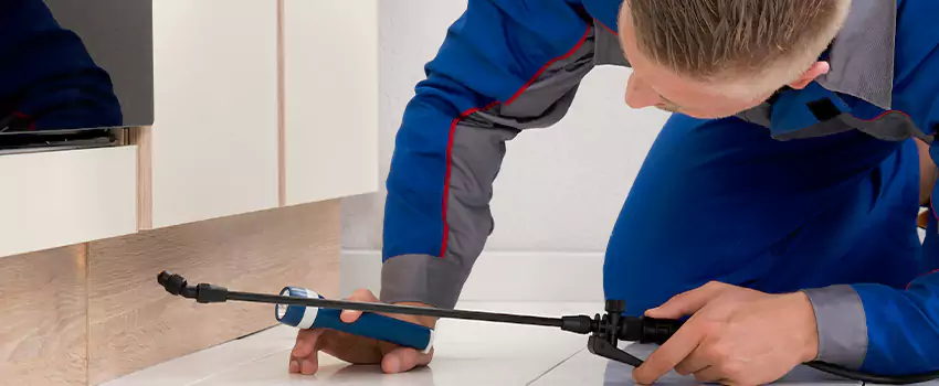 Ant Control for Bedrooms in Wylie, TX