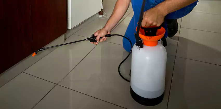 Commercial Pest Extermination for Offices in Wylie, TX