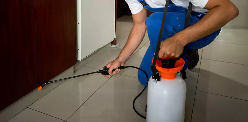 Commercial Flea Exterminator Company in Wylie, TX