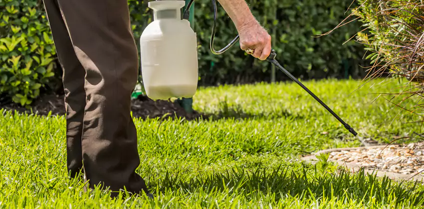 Grub Treatment for Bedrooms Wylie, TX