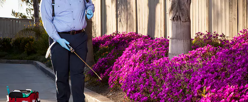 Commercial Mosquito Control Services in Wylie, TX