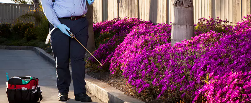 Pest Extermination for Bedrooms in Wylie, TX