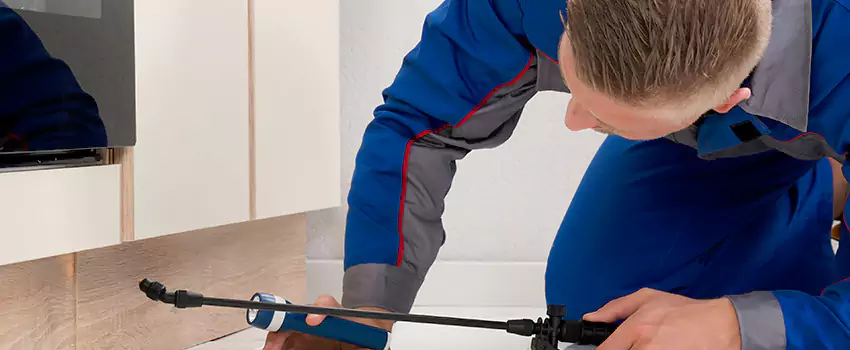 Termite Control for Children and Pets in Wylie, TX