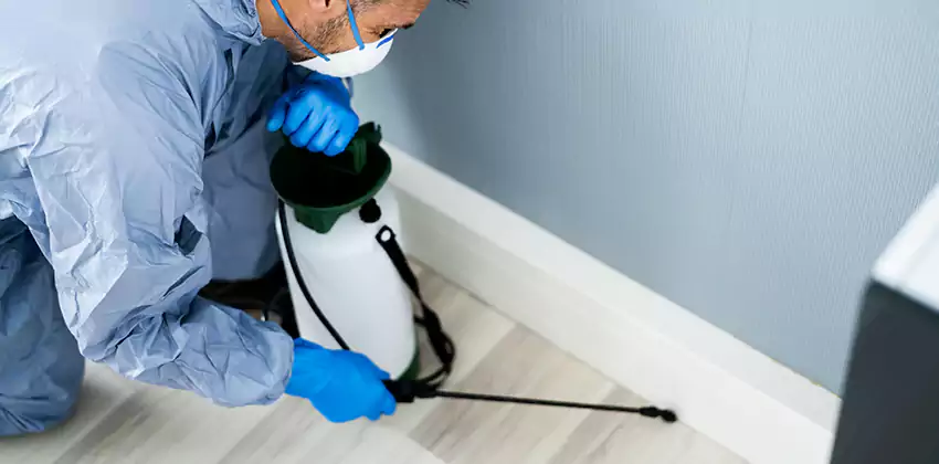 commercial-pest-exterminator in Wylie, TX
