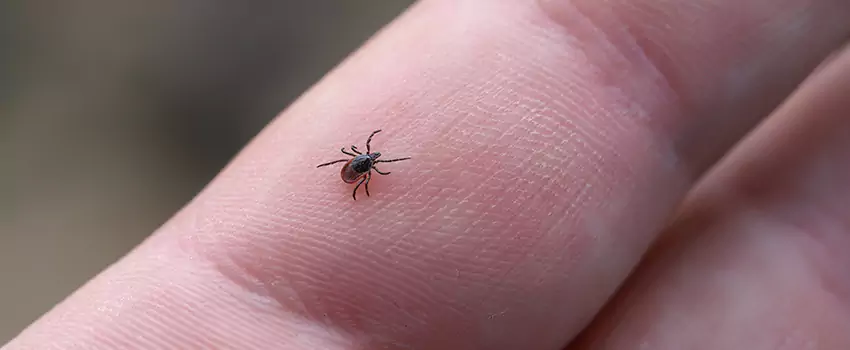 tick-control in Wylie, TX