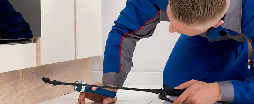 Pest Exterminator Company in Wylie, TX