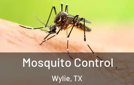  Mosquito Control Wylie, TX