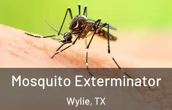 Mosquito Exterminator Wylie, TX
