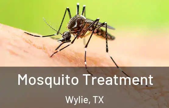  Mosquito Treatment Wylie, TX