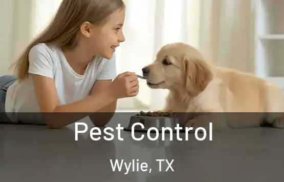 Pest Control Wylie, TX