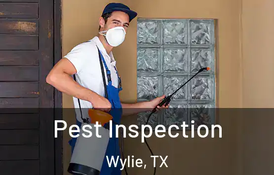  Pest Inspection Wylie, TX