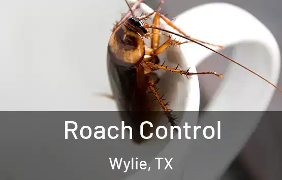  Roach Control Wylie, TX