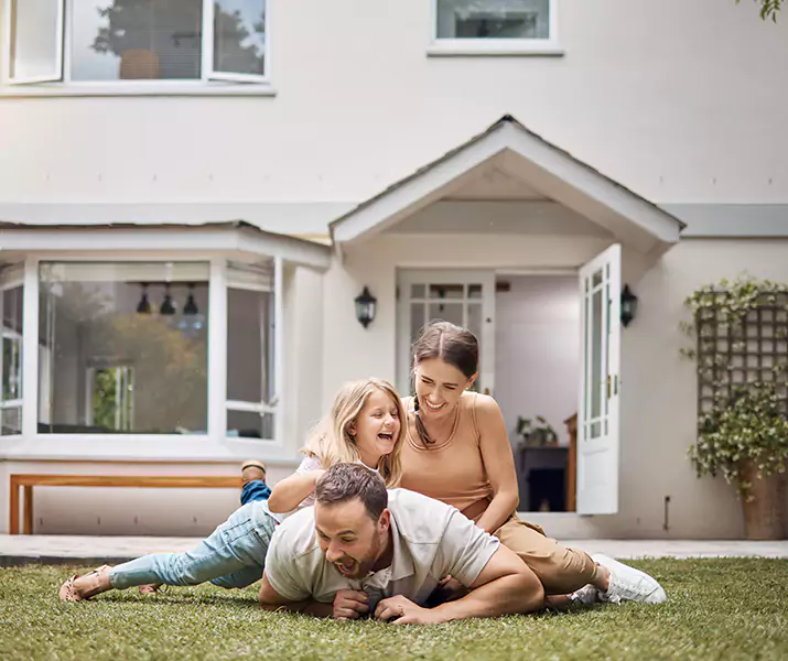 About Ant Control Wylie