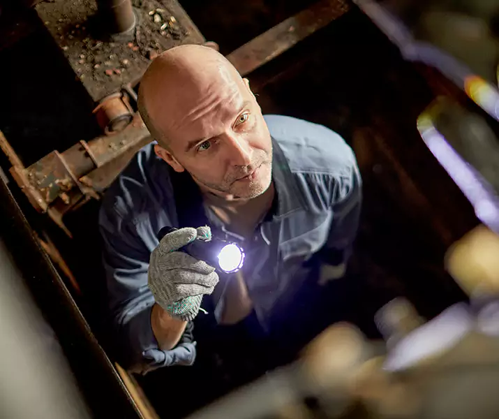 About Pest Inspection Wylie