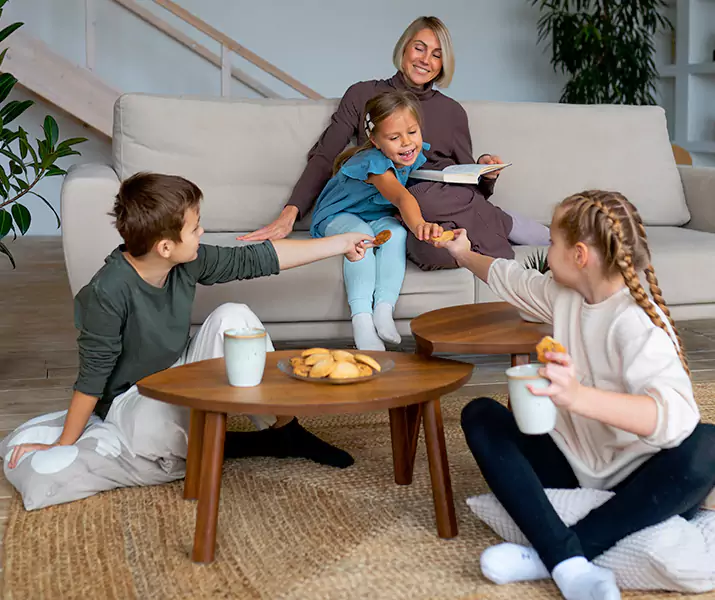 About Spider Exterminator Wylie