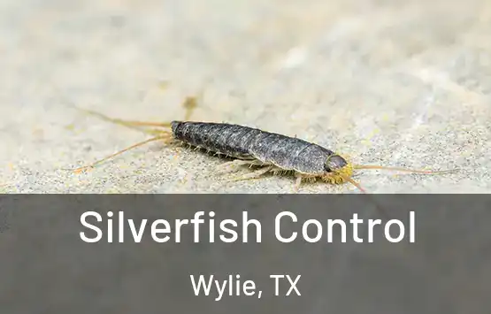 Silverfish Control Wylie, TX