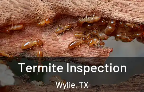  Termite Inspection Wylie, TX