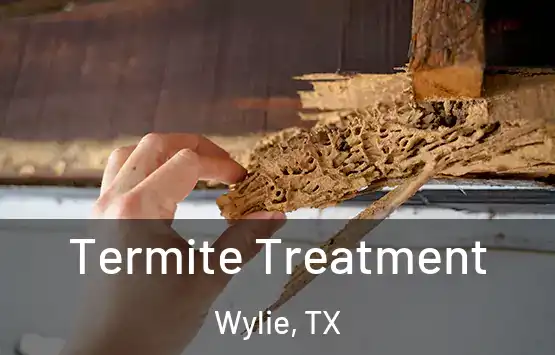  Termite Treatment Wylie, TX