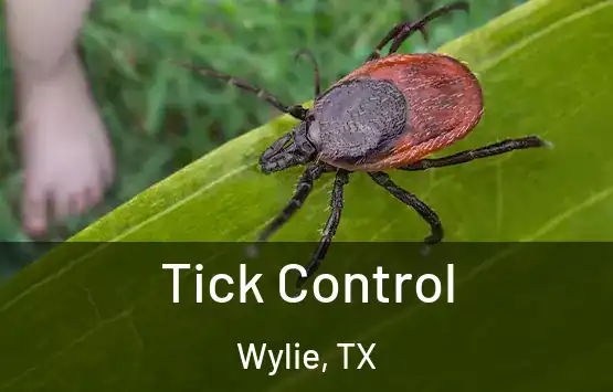  Tick Control Wylie, TX