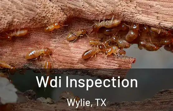  Wdi Inspection Wylie, TX